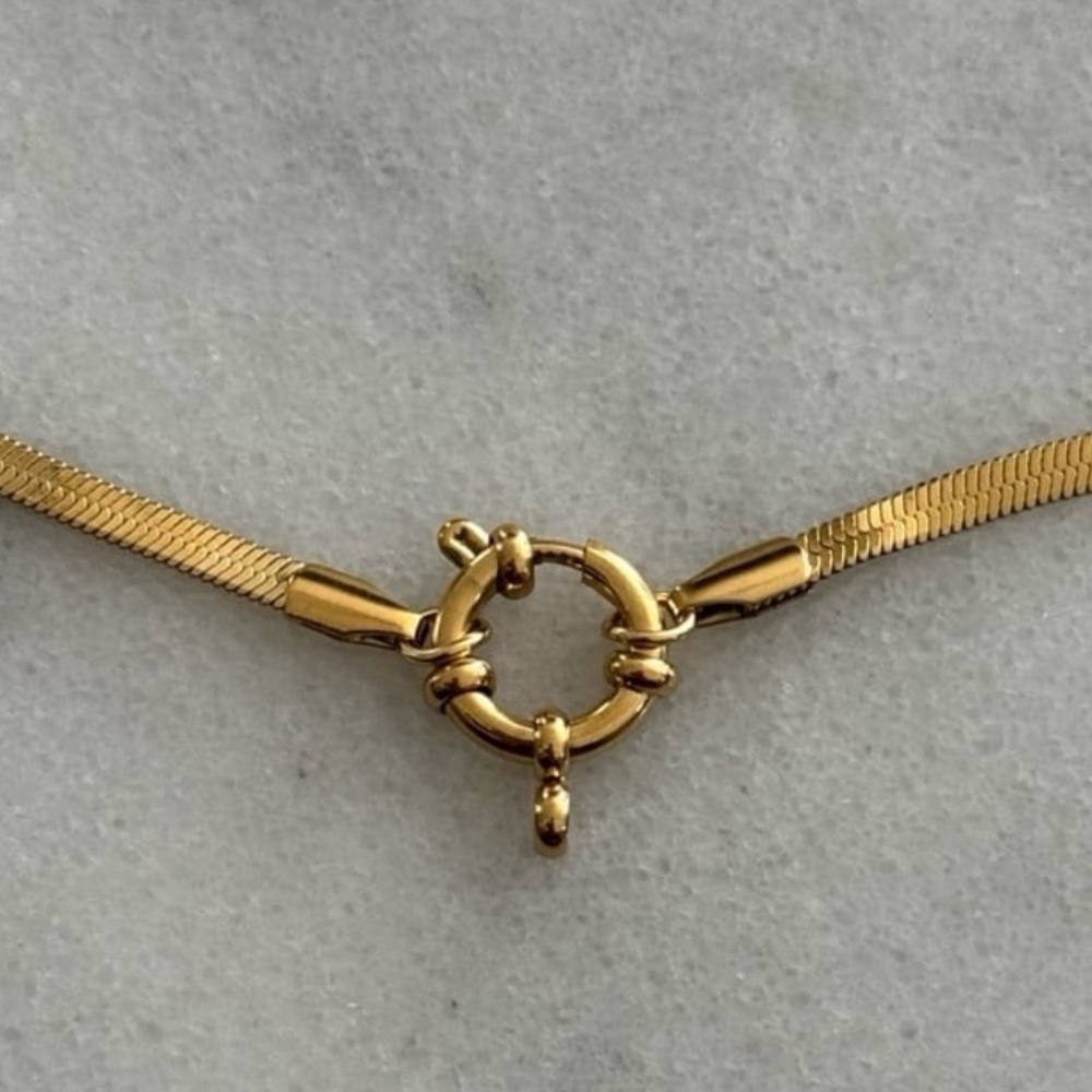 Gold Chain Link Snake Round Pendant Clasp Necklace 

Brand New
